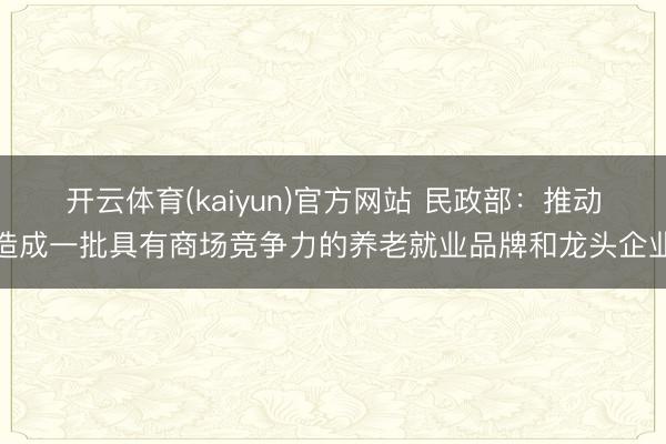 开云体育(kaiyun)官方网站 民政部:推动造成一批具有商场竞争力的养老就业品牌和龙头企业