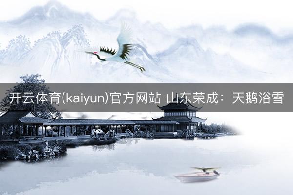 开云体育(kaiyun)官方网站 山东荣成:天鹅浴雪
