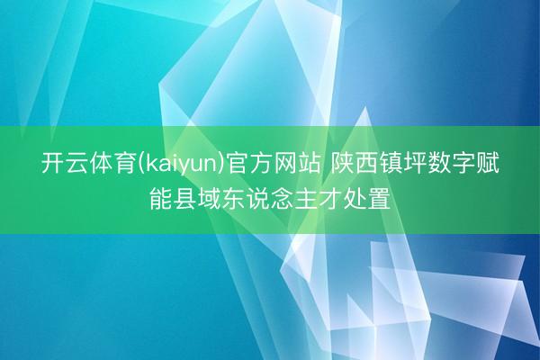 开云体育(kaiyun)官方网站 陕西镇坪数字赋能县域东说念主才处置
