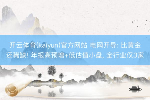 开云体育(kaiyun)官方网站 电网开导: 比黄金还稀缺! 年报高预增+低估值小盘， 全行业仅3家