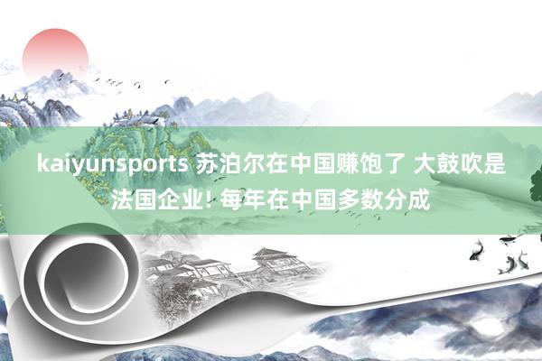 kaiyunsports 苏泊尔在中国赚饱了 大鼓吹是法国企业! 每年在中国多数分成