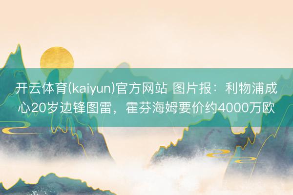 开云体育(kaiyun)官方网站 图片报:利物浦成心20岁边锋图雷,霍芬海姆要价约4000万欧