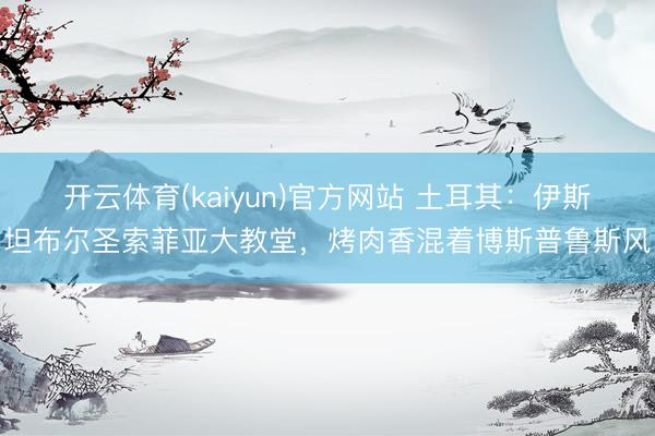 开云体育(kaiyun)官方网站 土耳其：伊斯坦布尔圣索菲亚大教堂，烤肉香混着博斯普鲁斯风