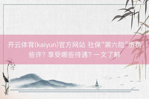 开云体育(kaiyun)官方网站 社保“第六险”缴费些许? 享受哪些待遇? 一文了解