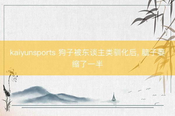 kaiyunsports 狗子被东谈主类驯化后， 脑子萎缩了一半